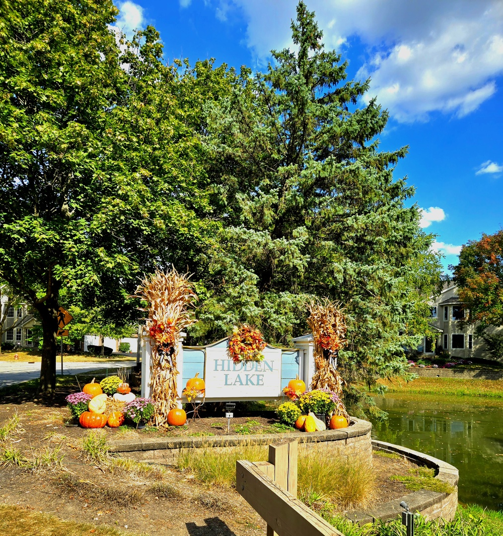 1736 Brookwood Road, Lisle, IL 60532