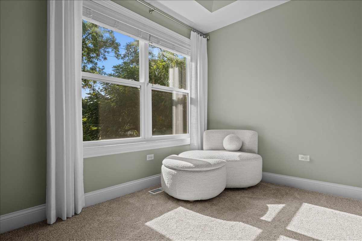 225 N Mill Street, Naperville, IL 60540