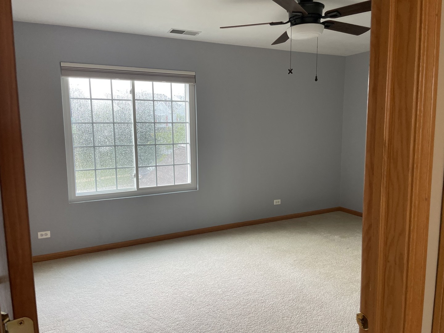 2617 CARROLWOOD Road #2617, Naperville, IL 60540