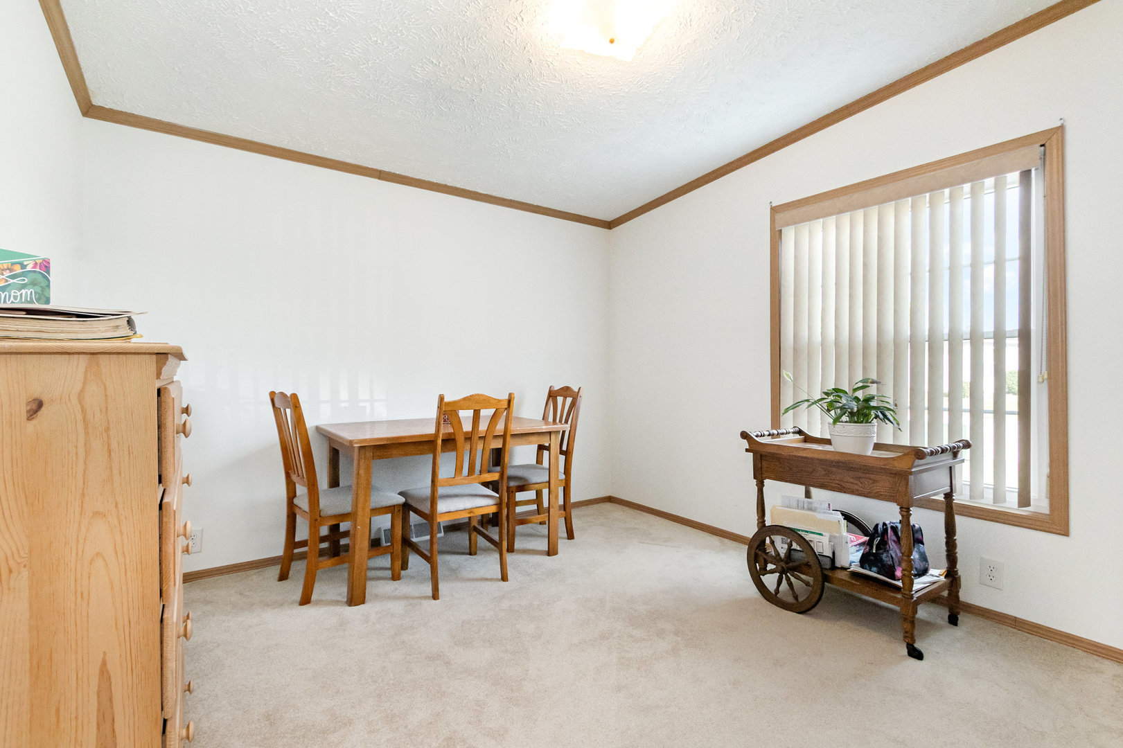 22426 S Remington Drive, Channahon, IL 60410