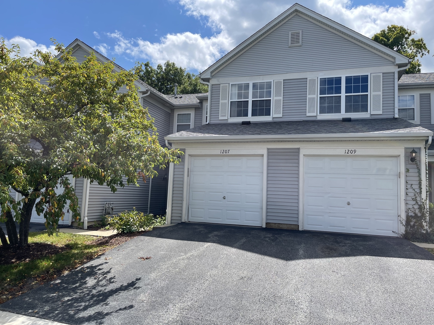 1207 Brookdale Drive, Carpentersville, IL 60110