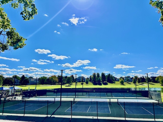 7 Shoal Creek Court, Lake In The Hills, IL 60156