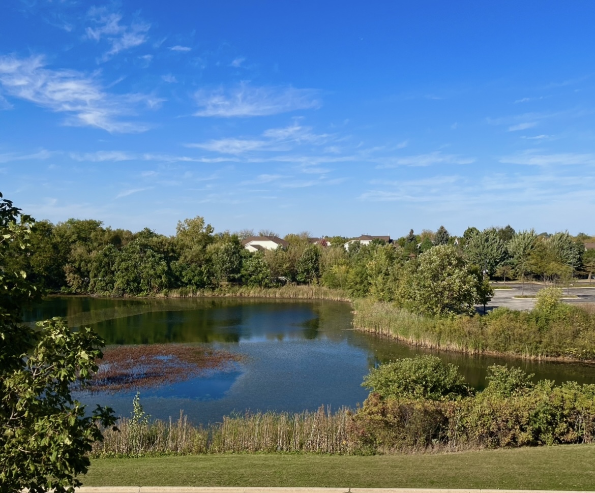 1199 E Port Clinton Road #304, Vernon Hills, IL 60061