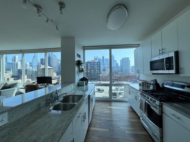 757 N Orleans Street #1206, Chicago, IL 60601