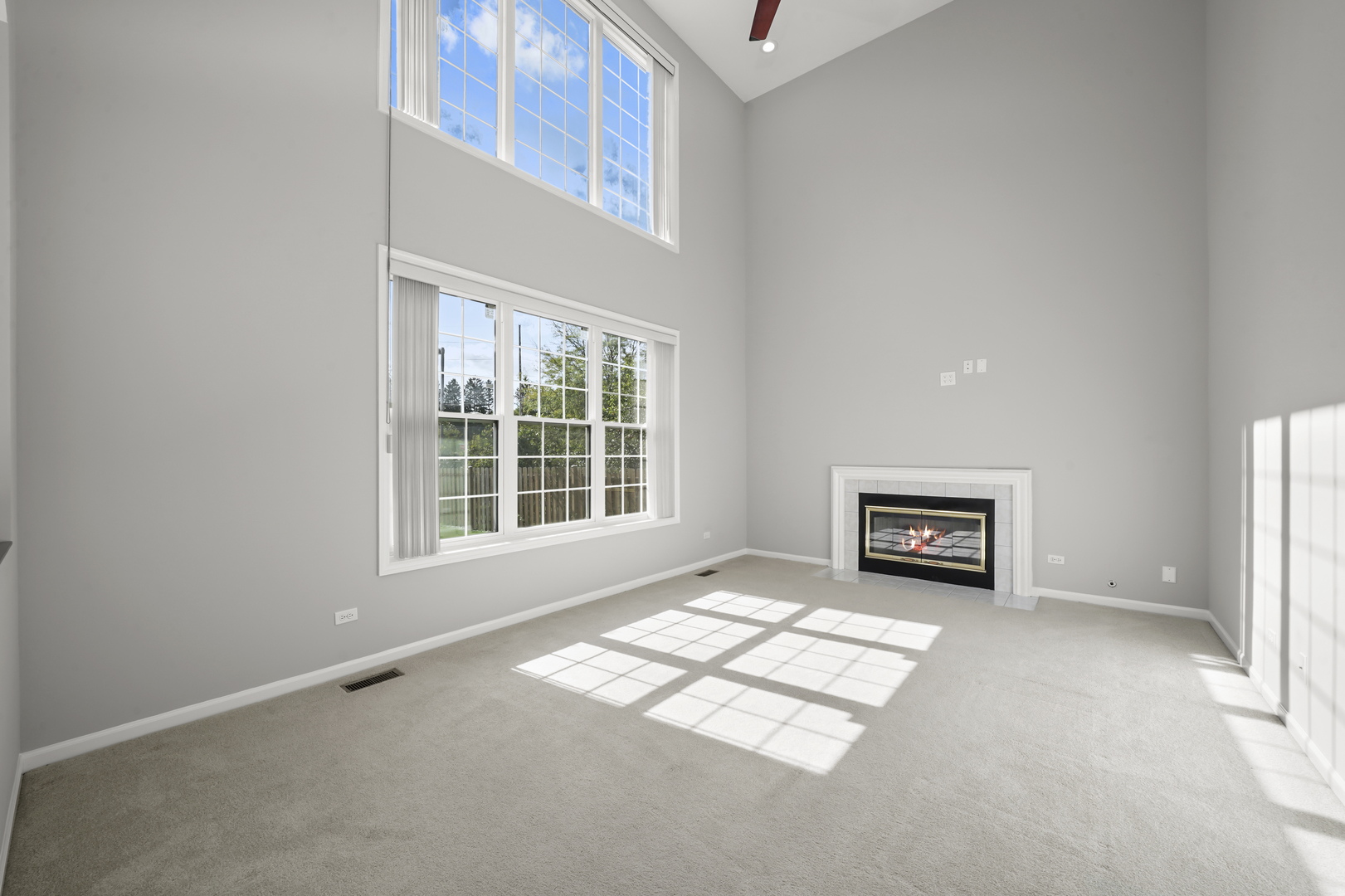 1379 W Deer Court, Palatine, IL 60067