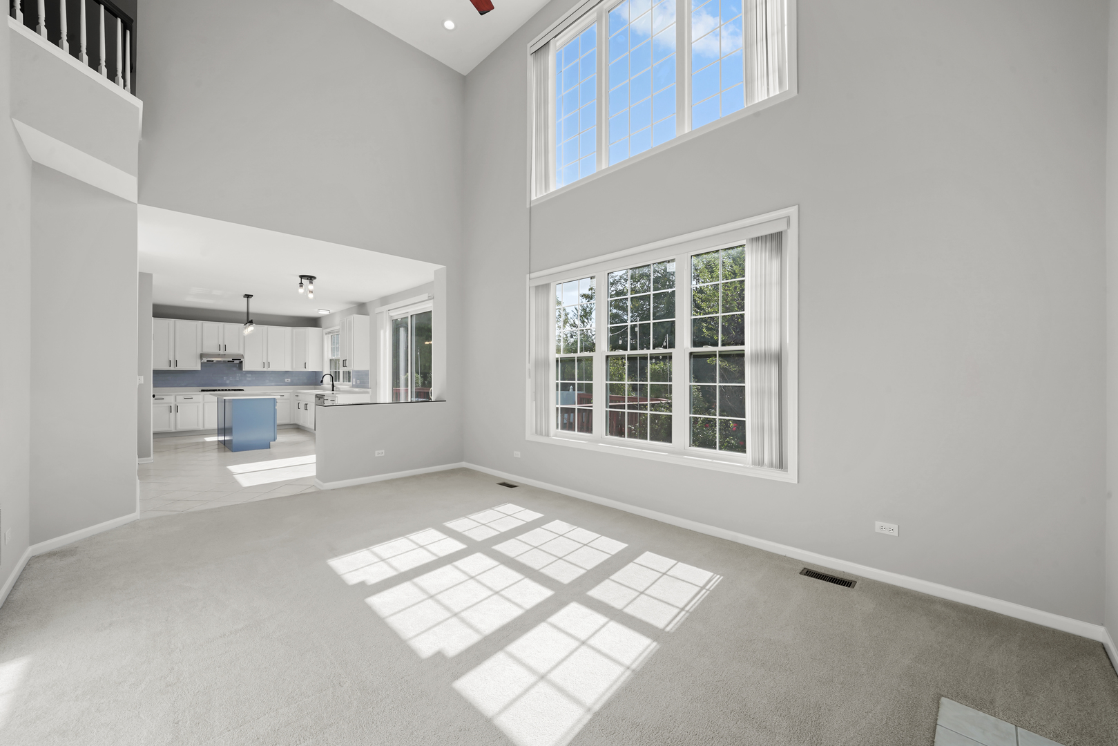 1379 W Deer Court, Palatine, IL 60067