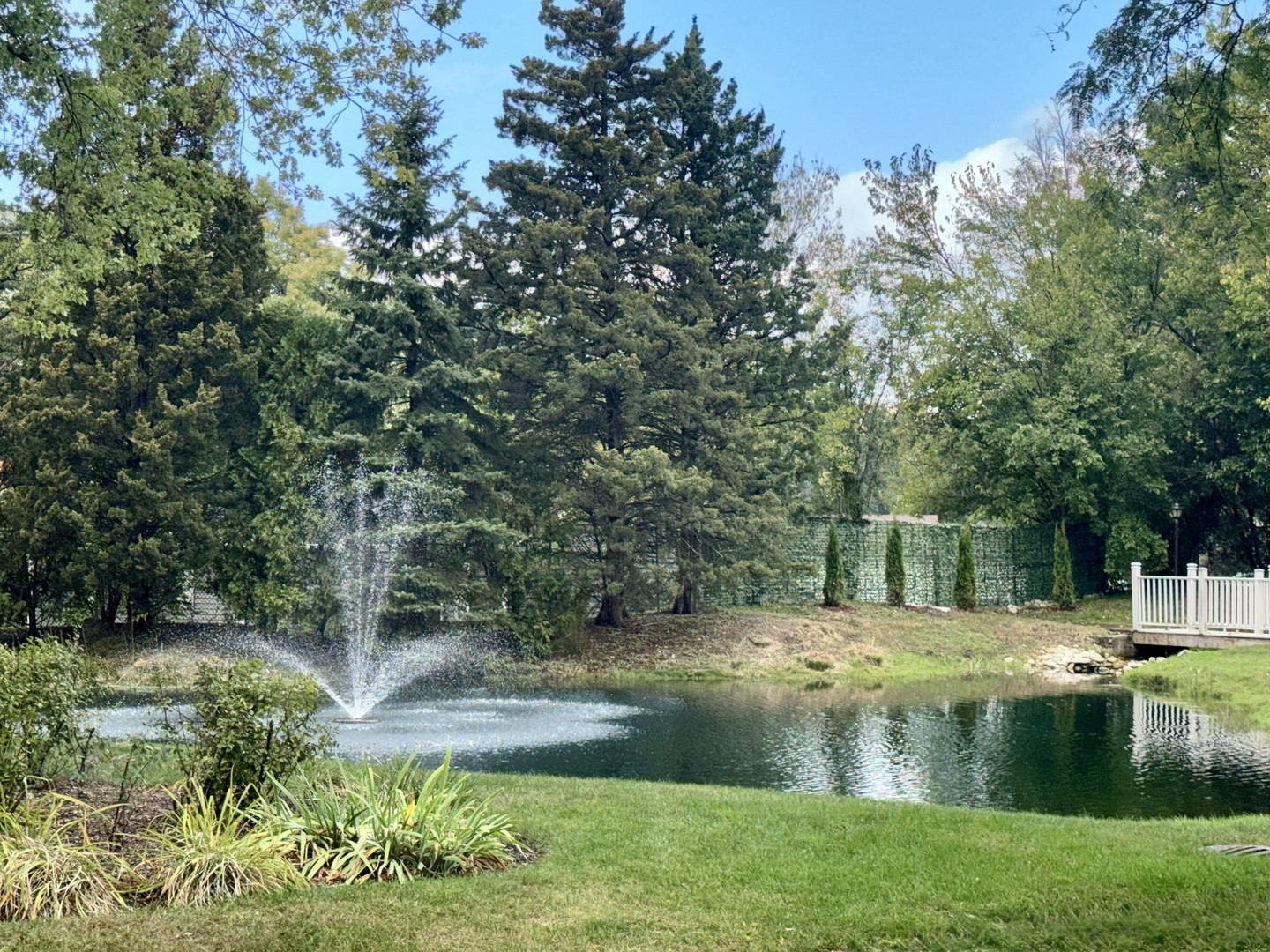 1105 N Mill Street #224, Naperville, IL 60563