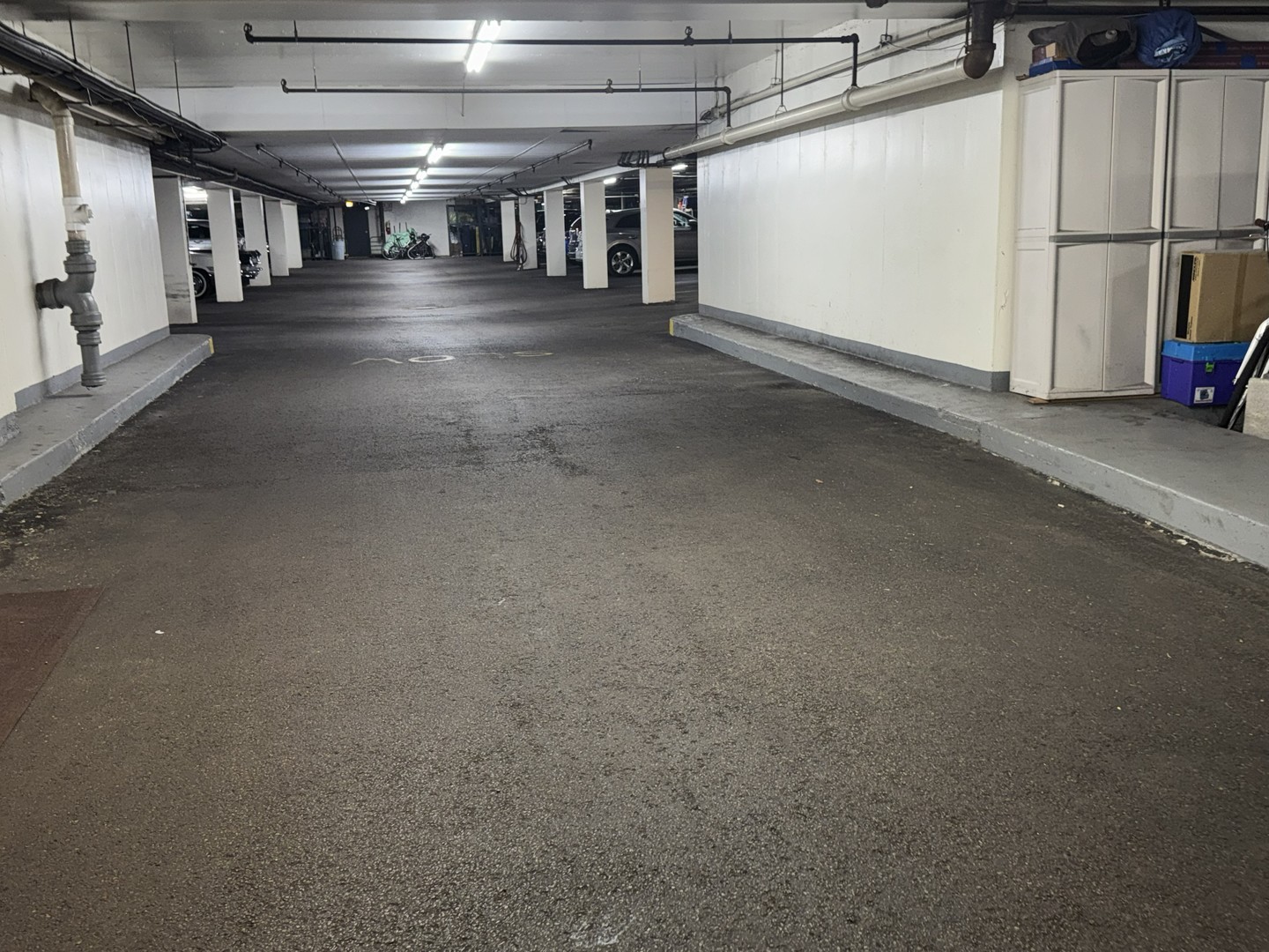 1105 N Mill Street #224, Naperville, IL 60563