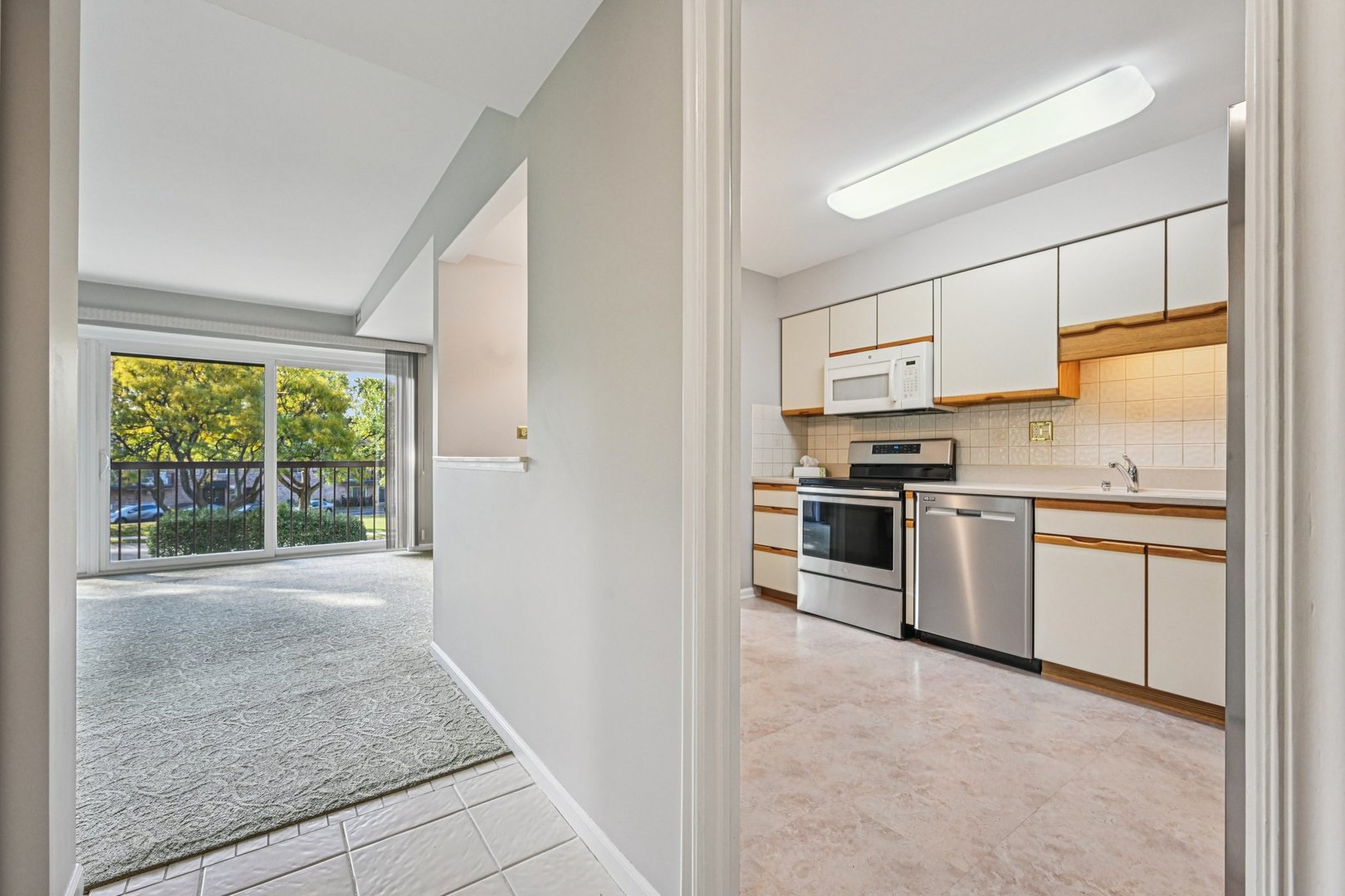 1105 N Mill Street #224, Naperville, IL 60563