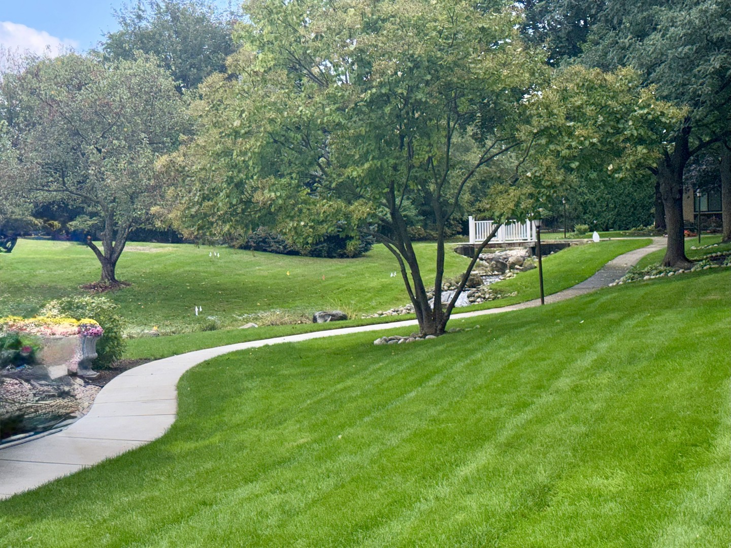 1105 N Mill Street #224, Naperville, IL 60563