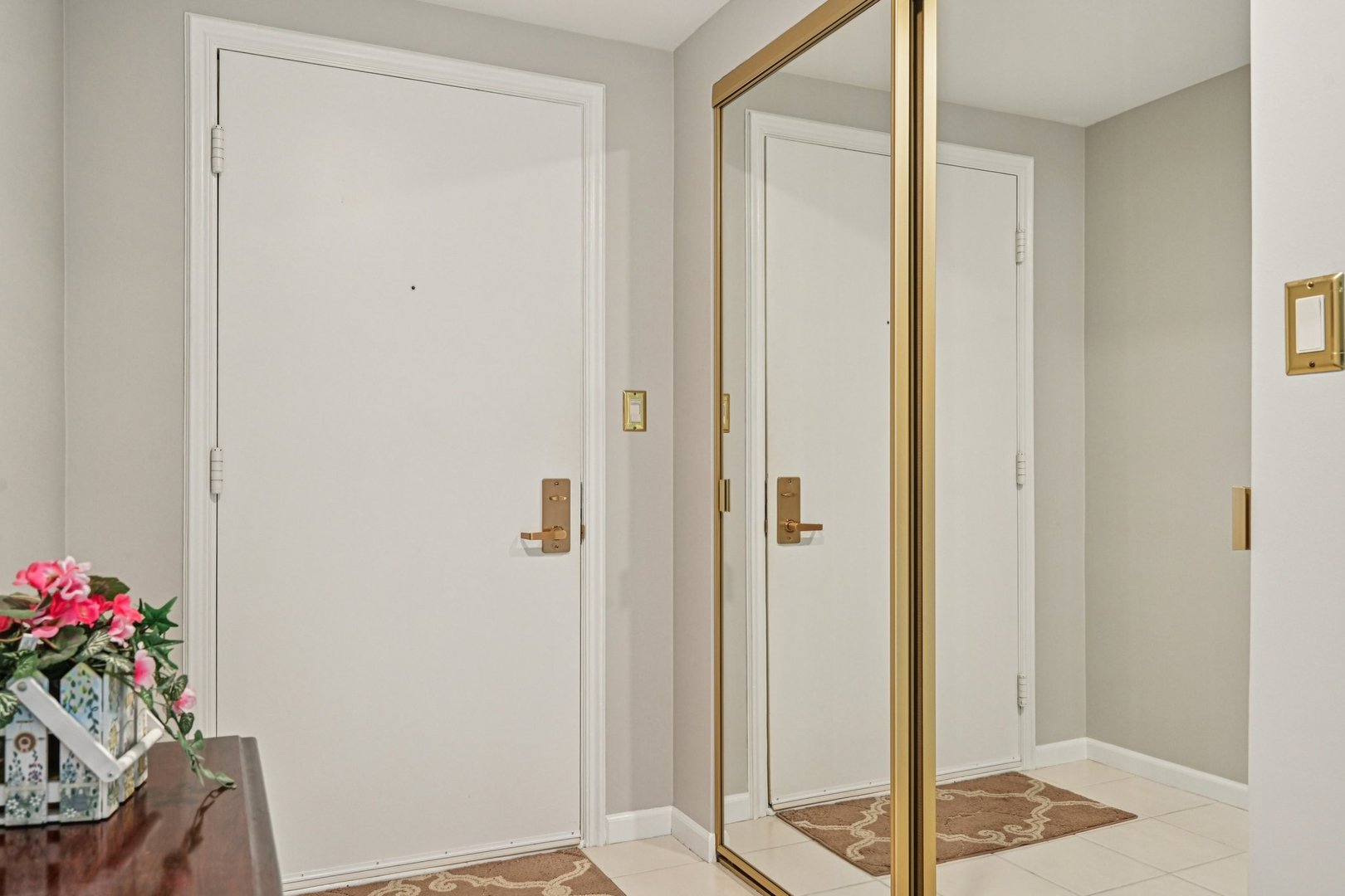 1105 N Mill Street #224, Naperville, IL 60563