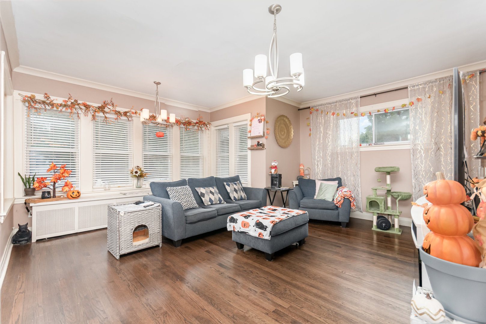 1300 S 49th Avenue, Cicero, IL 60804