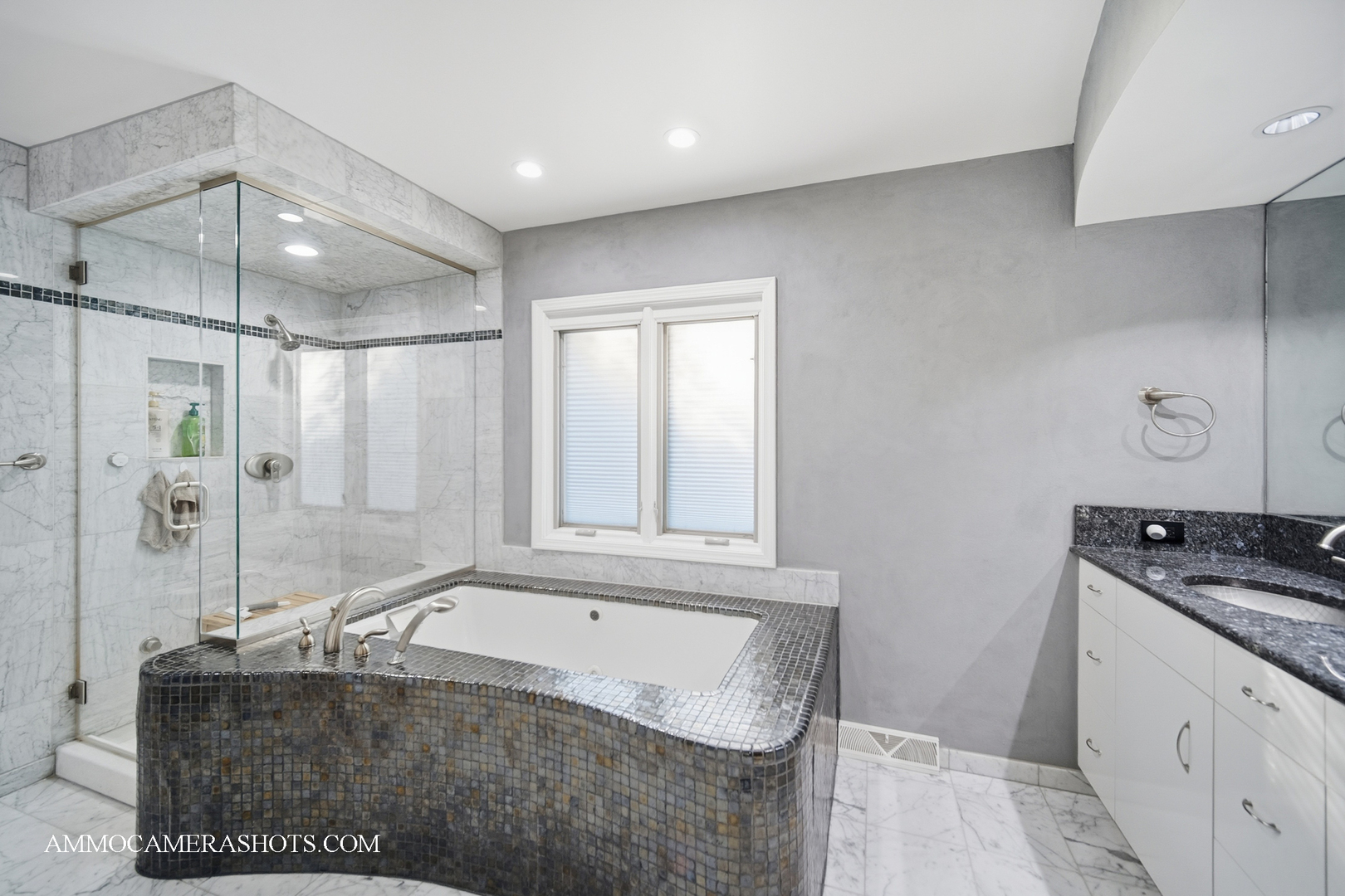 12 Highgate Court, St. Charles, IL 60174