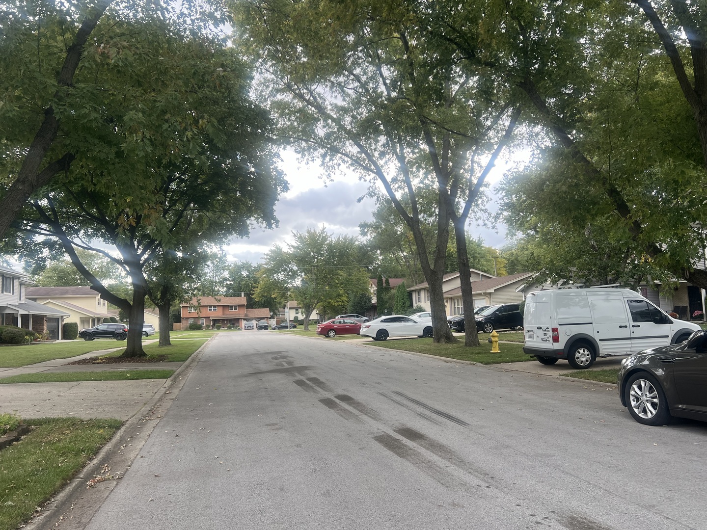 17613 Hawthorne Drive, Country Club Hills, IL 60478