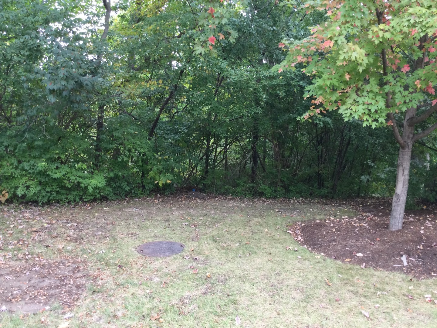 3258 Red Oak Circle, Carpentersville, IL 60110