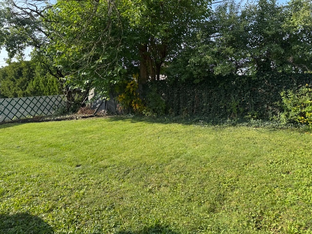 8258 N Ozark Avenue, Niles, IL 60714