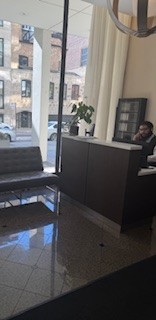 1400 N State Parkway #8E, Chicago, IL 60610