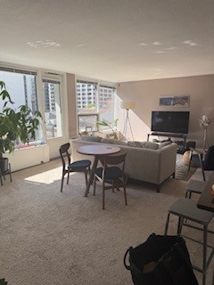 1400 N State Parkway #8E, Chicago, IL 60610