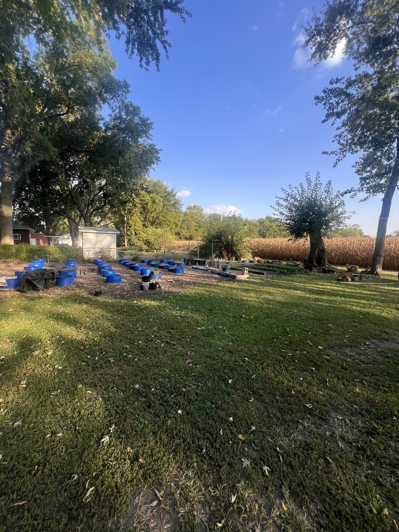 619 Jewett Street, Mazon, IL 60444