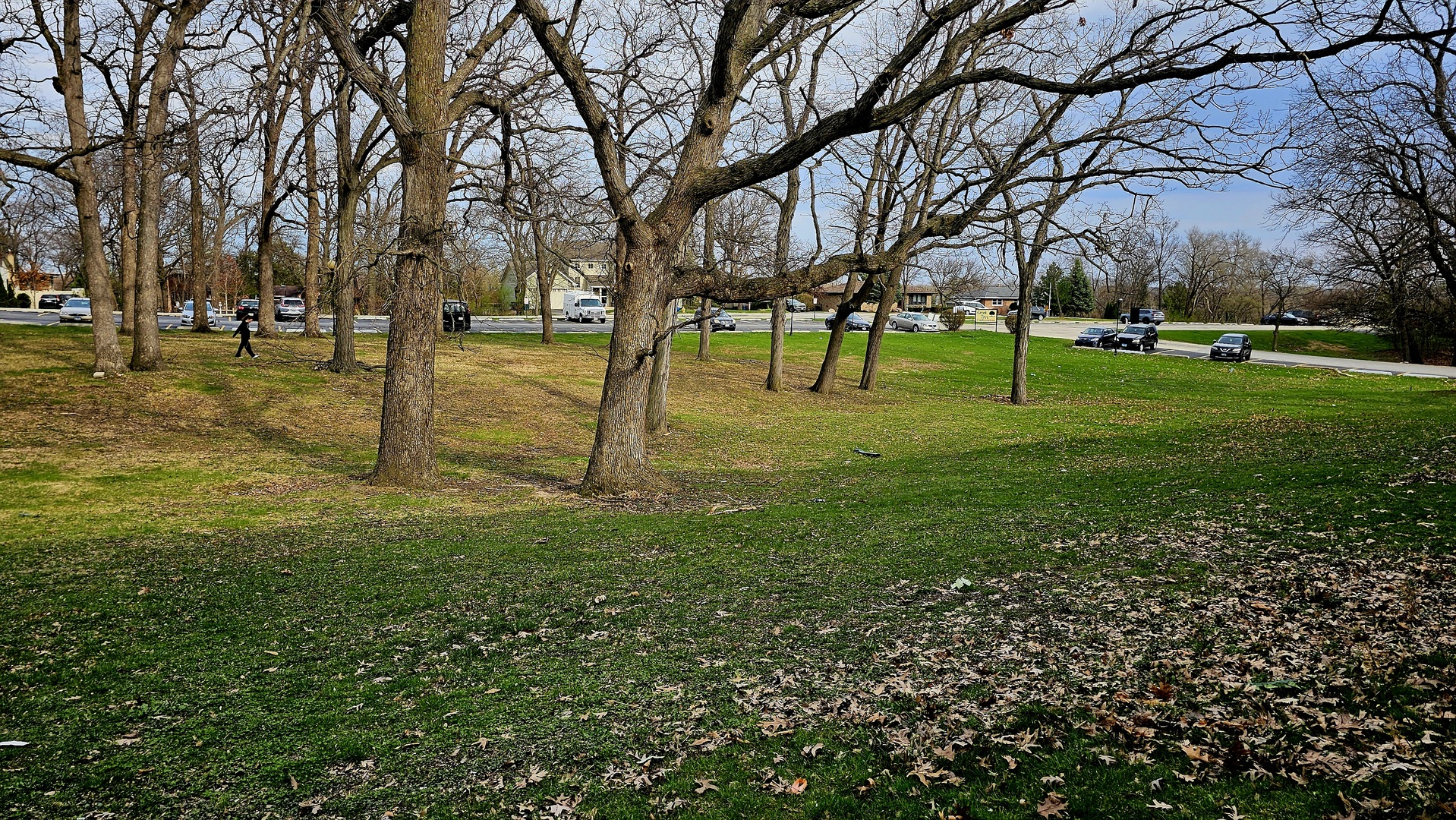 10037 S Walnut Terrace #31-111, Palos Hills, IL 60465