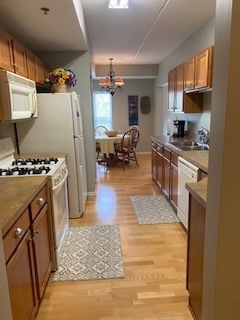 440 W Mahogany Court #312, Palatine, IL 60067