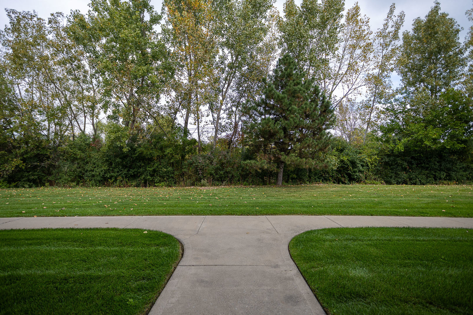 6830 W WINDING Trail #102, Oak Forest, IL 60452