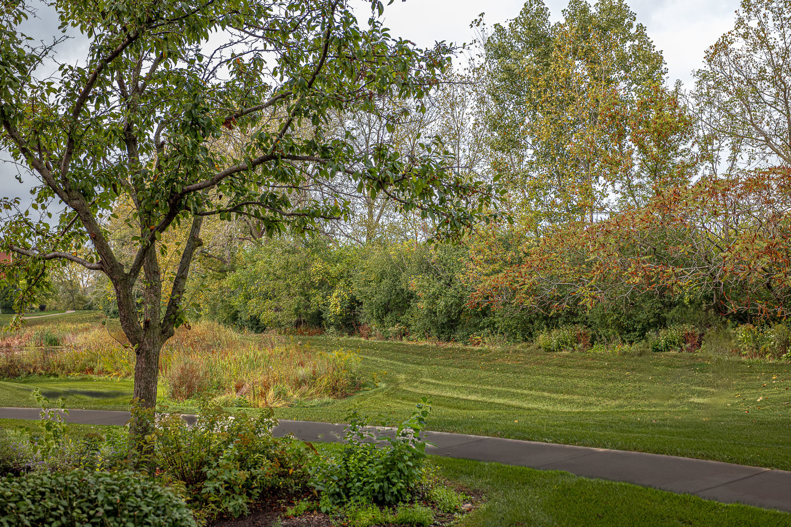 6830 W WINDING Trail #102, Oak Forest, IL 60452