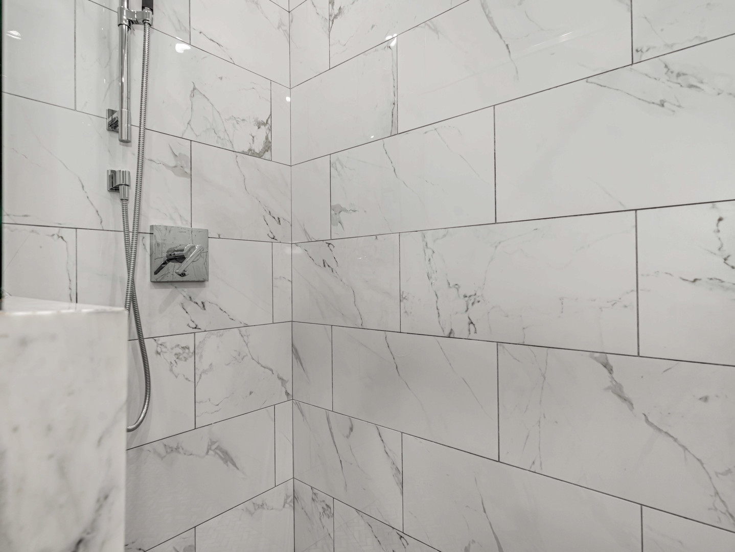 1707 S Jefferson Street #1, Chicago, IL 60616