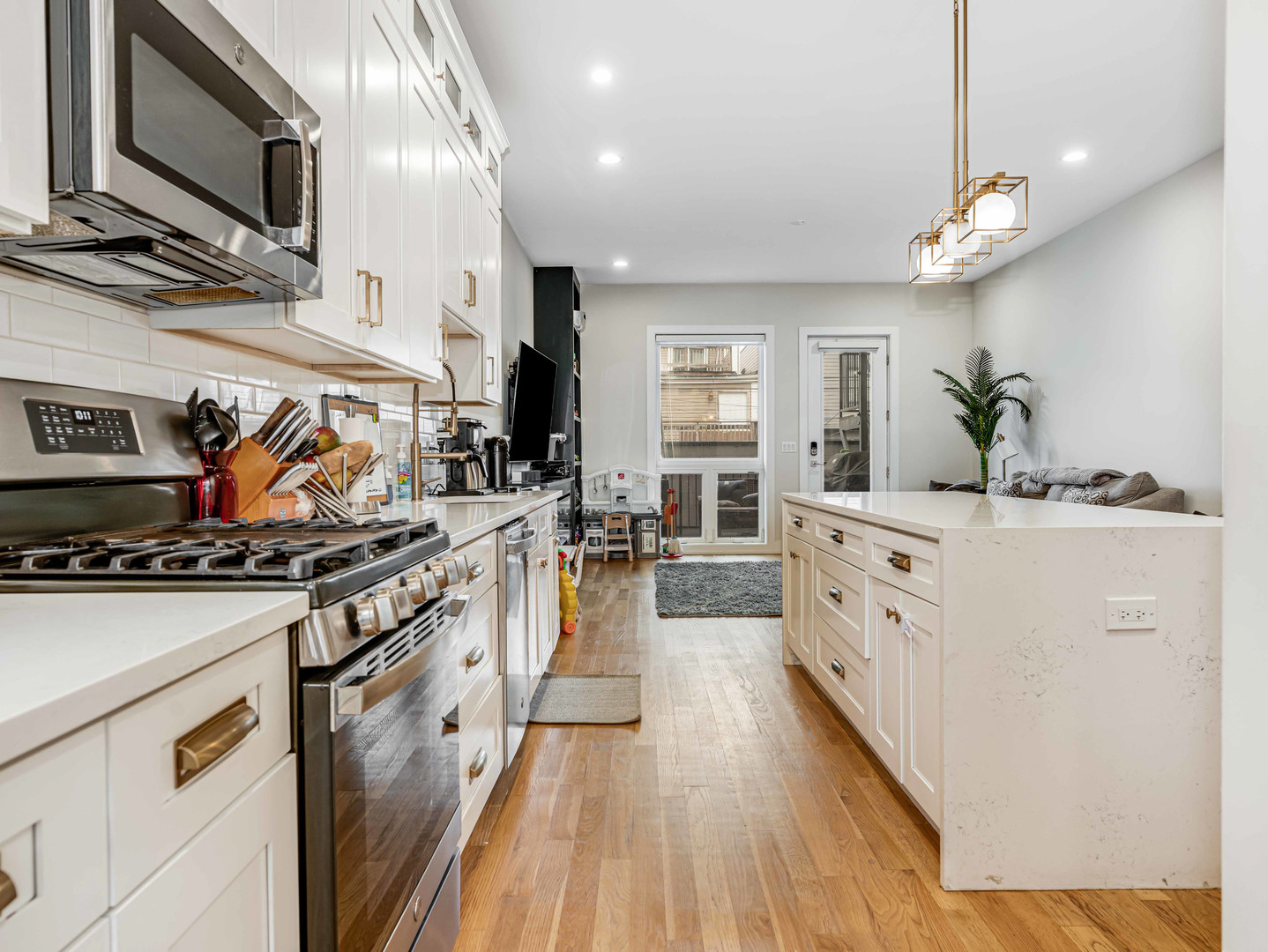 1707 S Jefferson Street #1, Chicago, IL 60616