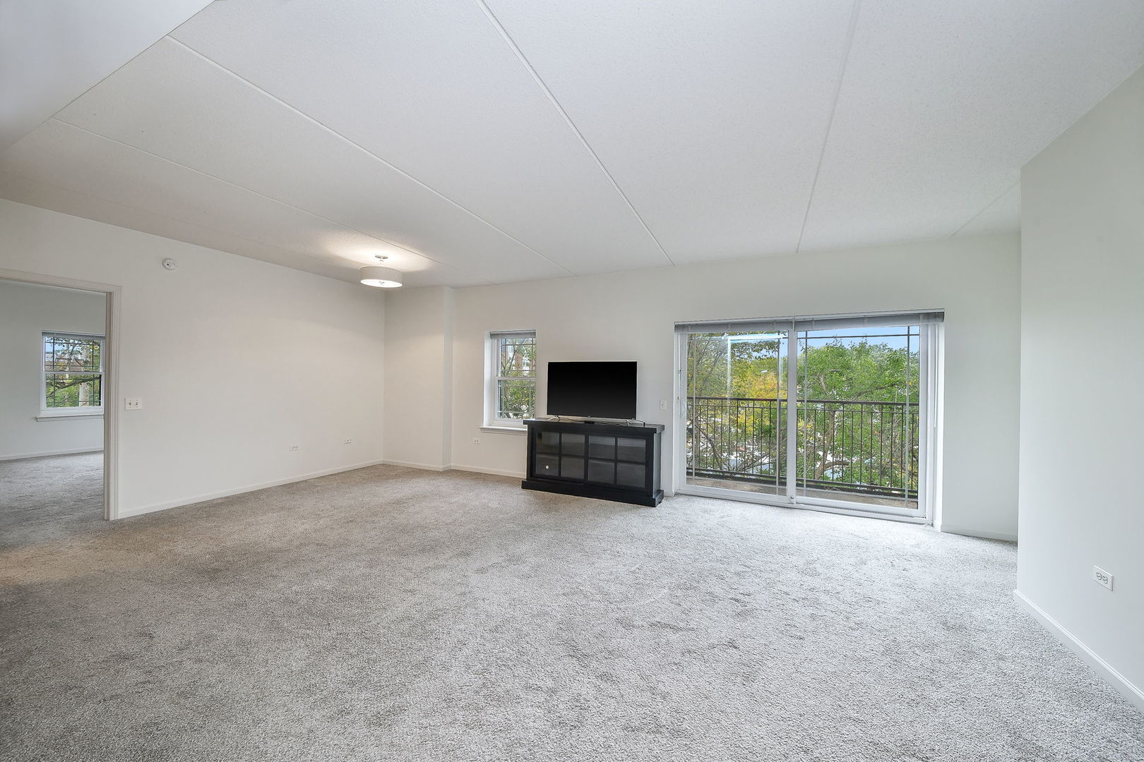 586 Crescent Boulevard #305, Glen Ellyn, IL 60137