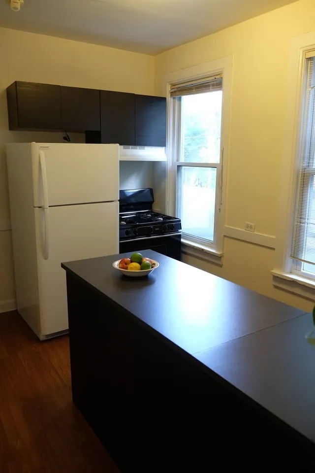 1109 Garnett Place #12, Evanston, IL 60201
