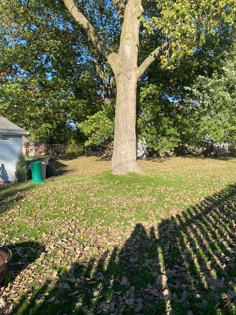 49 N Shaddle Avenue, Mundelein, IL 60060