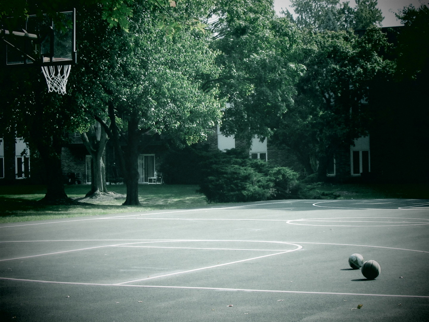 1053 W Ogden Avenue #236, Naperville, IL 60563