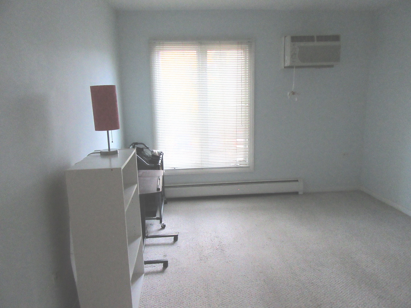 1053 W Ogden Avenue #236, Naperville, IL 60563