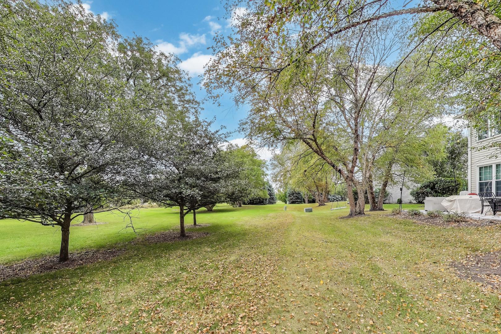 24115 W Pear Tree Circle, Plainfield, IL 60585