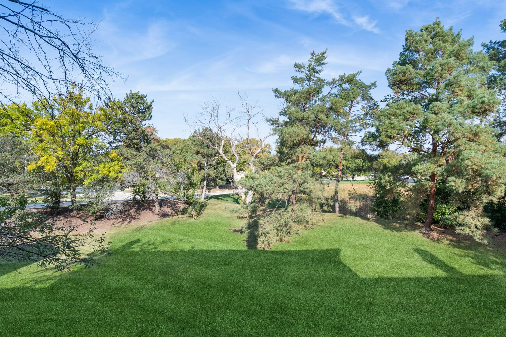 1180 Mistwood Court #1180-A, Downers Grove, IL 60515