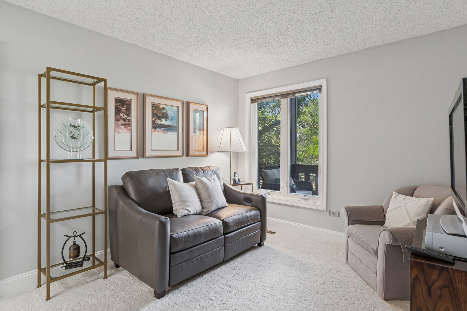 1180 Mistwood Court #1180-A, Downers Grove, IL 60515