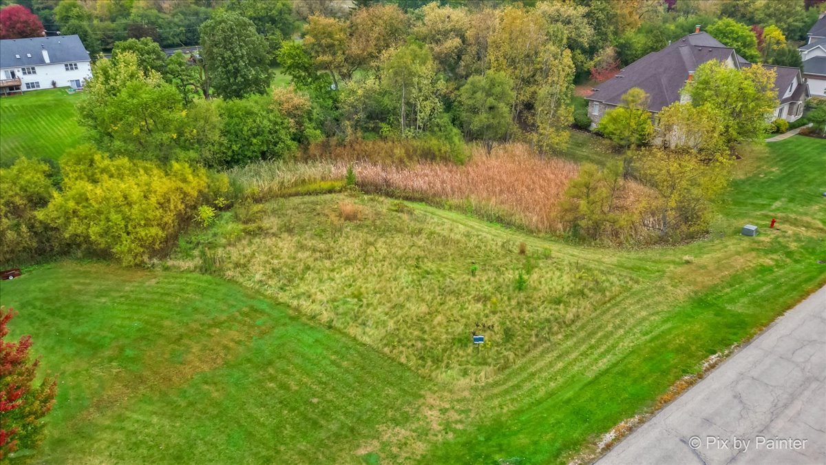 9780 STONECASTLE Lane, Lakewood, IL 60014