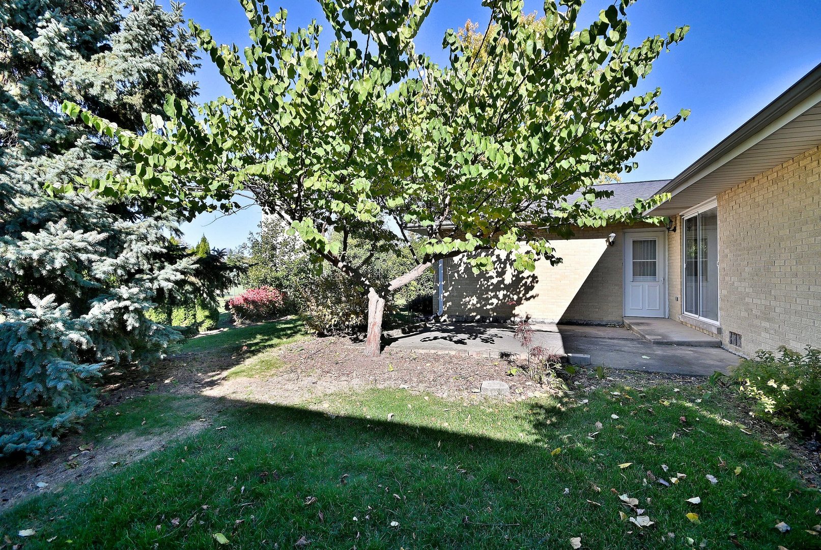 6730 Charleston Drive, Darien, IL 60561