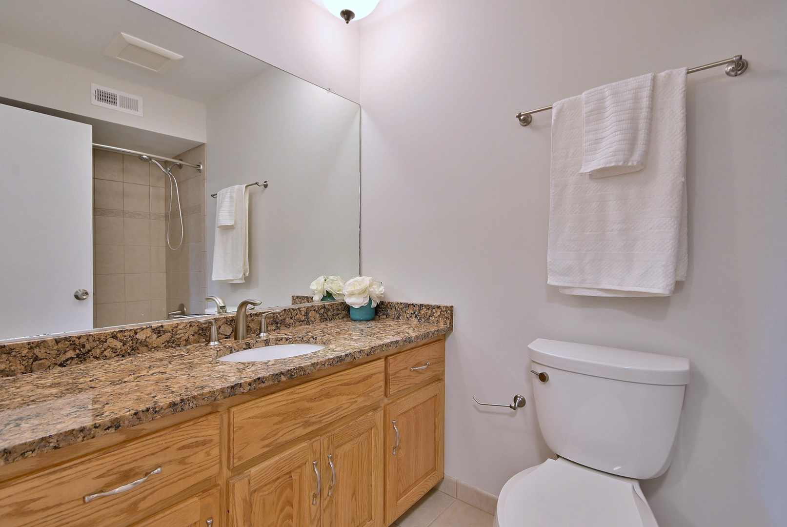 6730 Charleston Drive, Darien, IL 60561