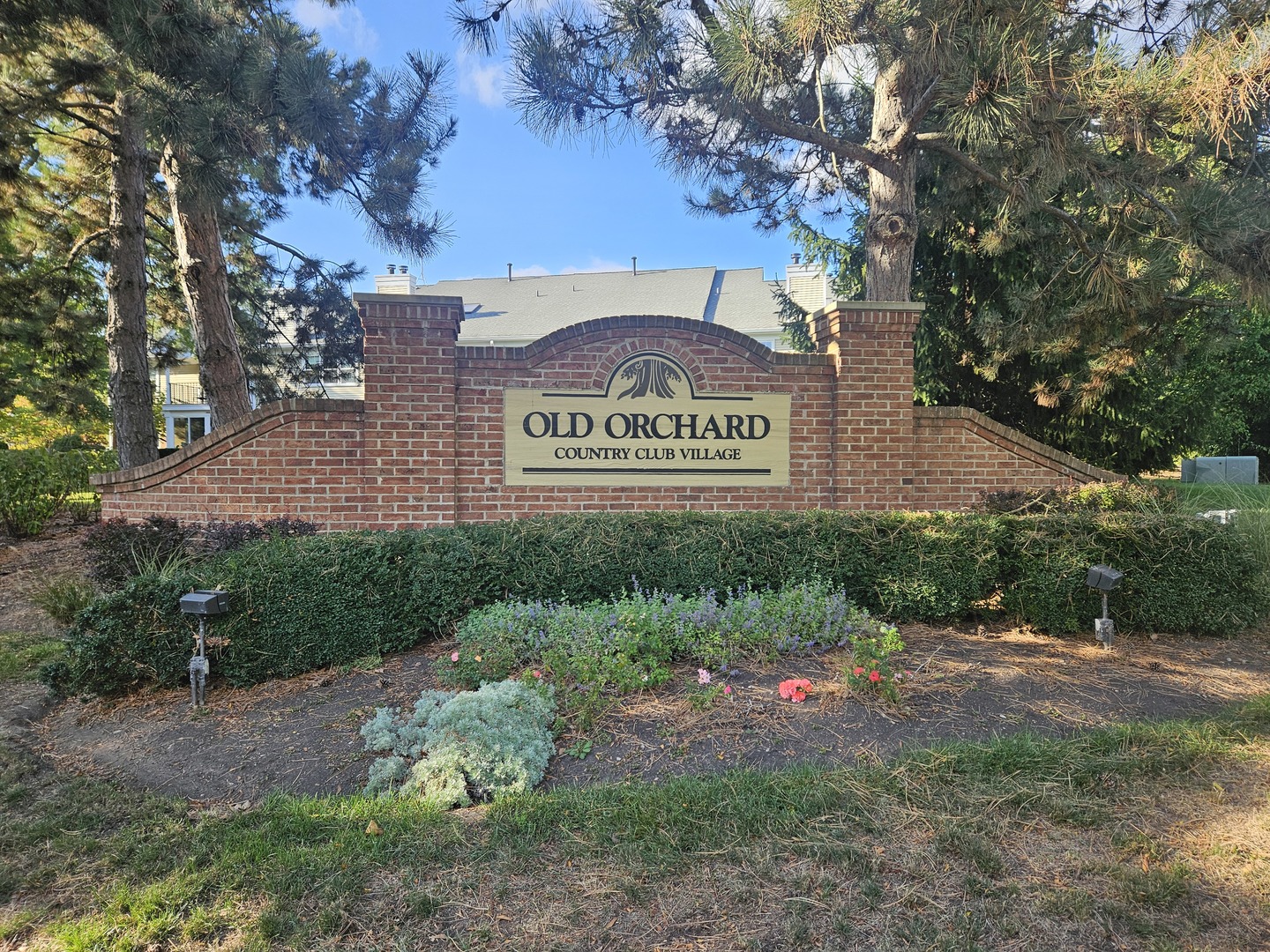 802 BUTTERNUT Lane #D, Mount Prospect, IL 60056