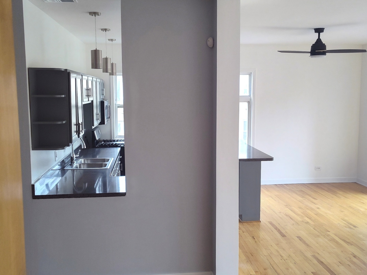 757 S Independence Boulevard #3S, Chicago, IL 60624