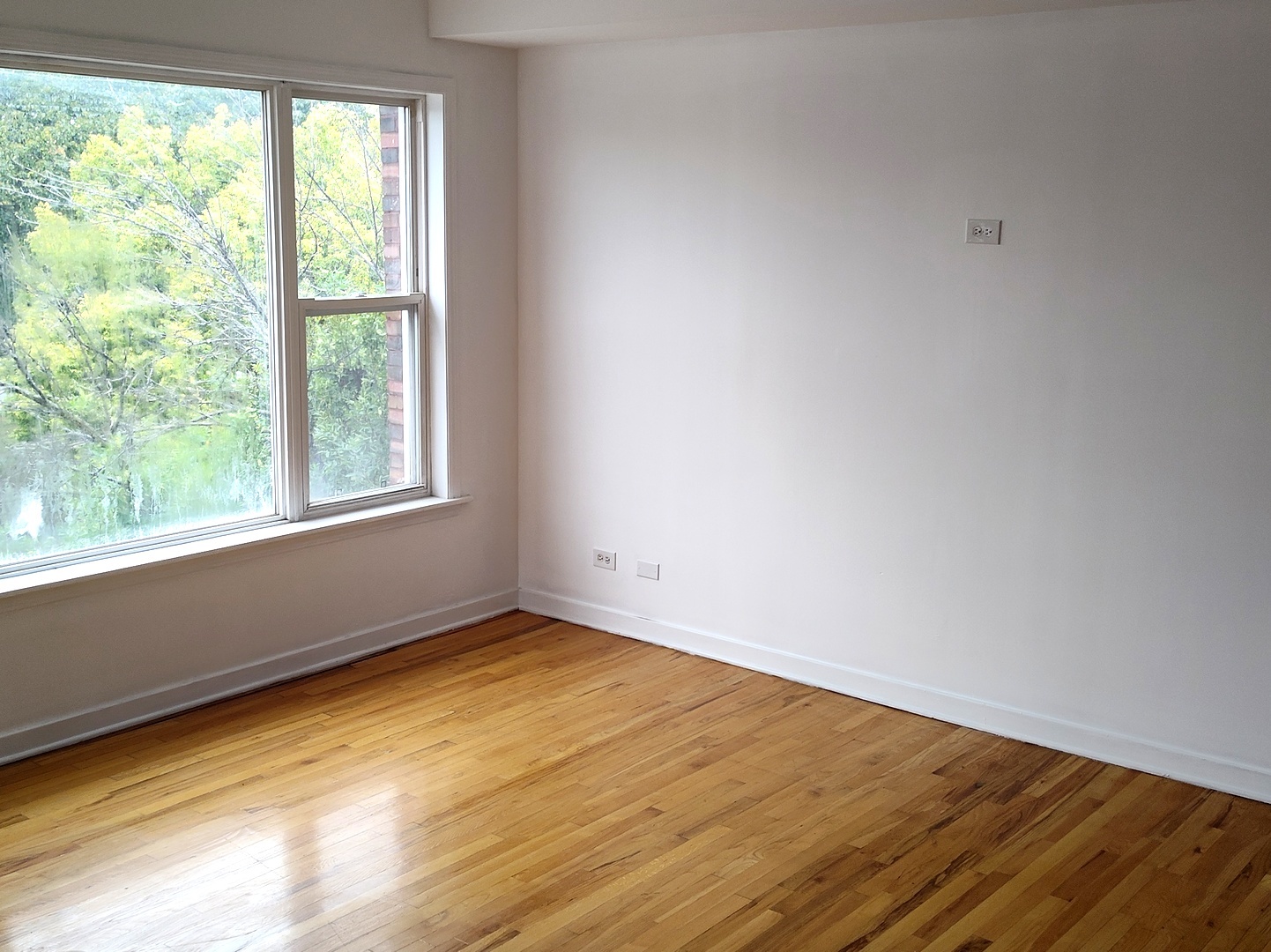 757 S Independence Boulevard #3S, Chicago, IL 60624
