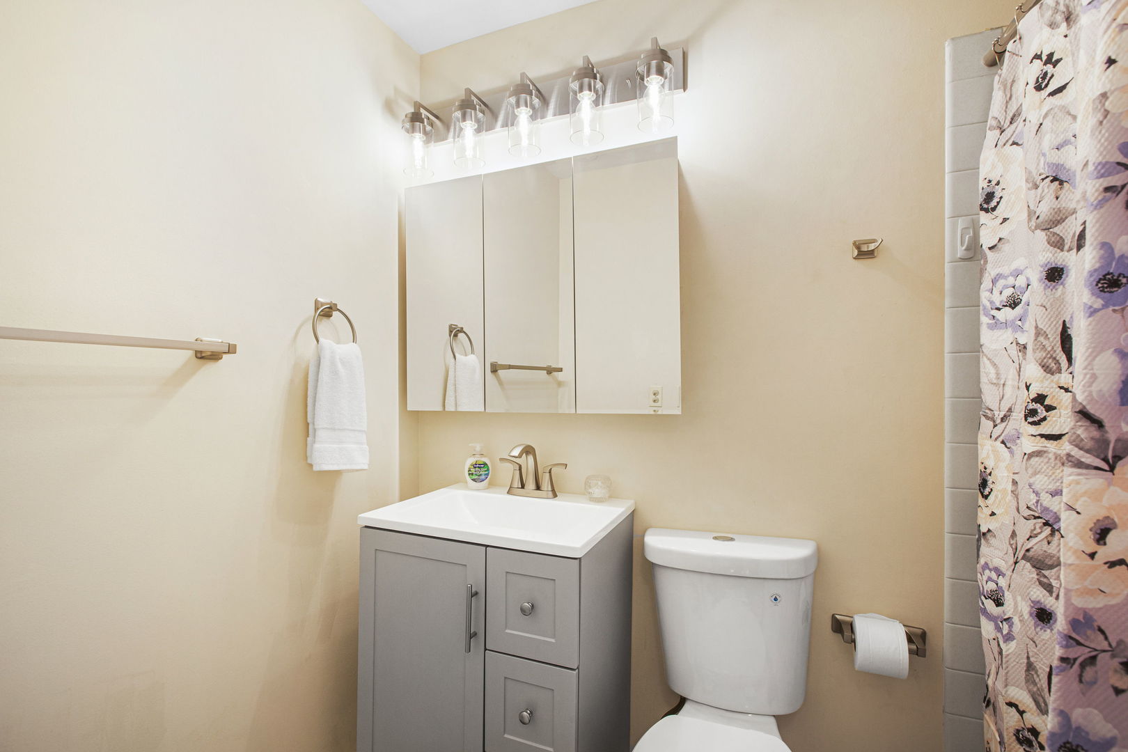 2829 Briarwood Drive, Arlington Heights, IL 60005