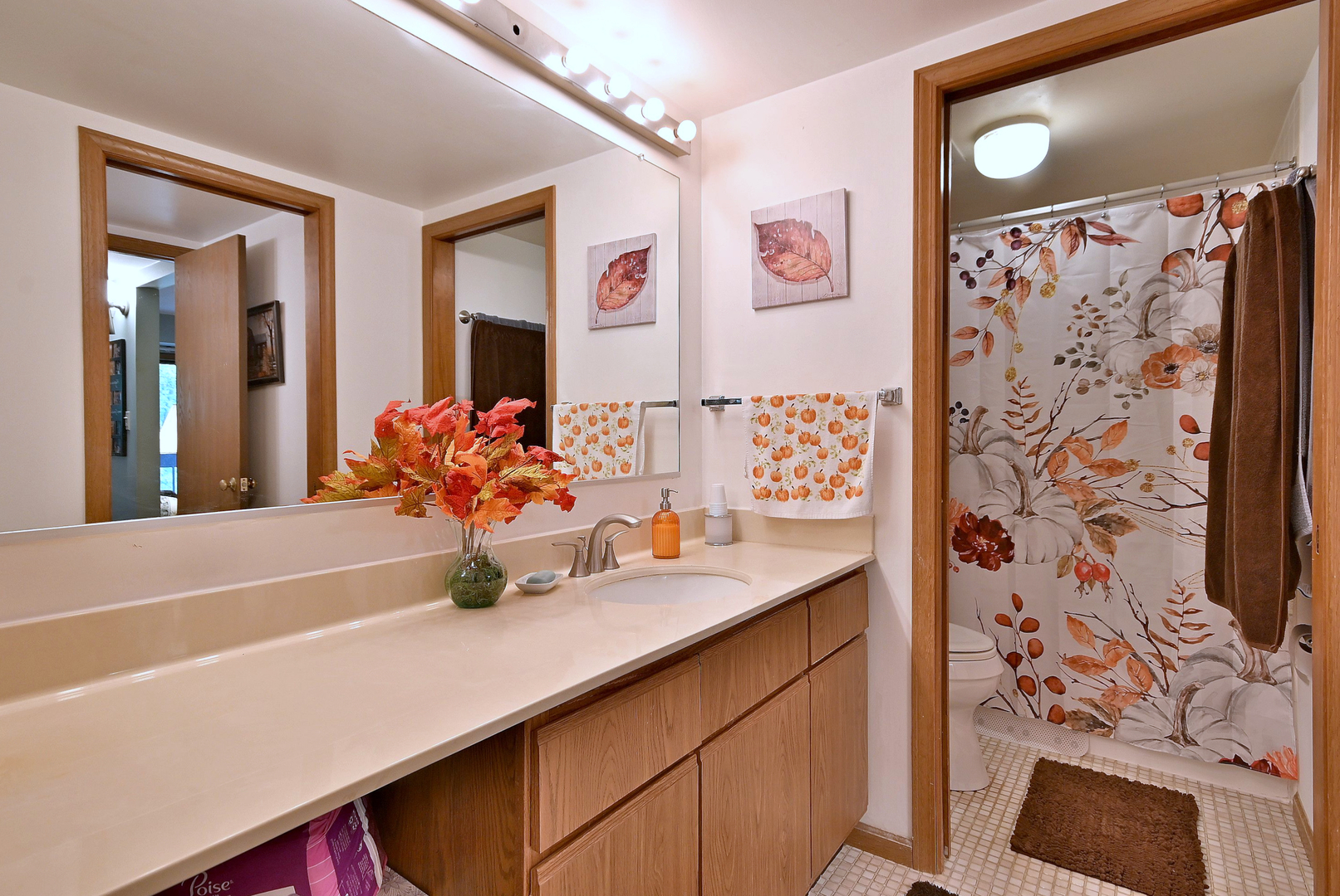 6810 Joliet Road #5, Indian Head Park, IL 60525