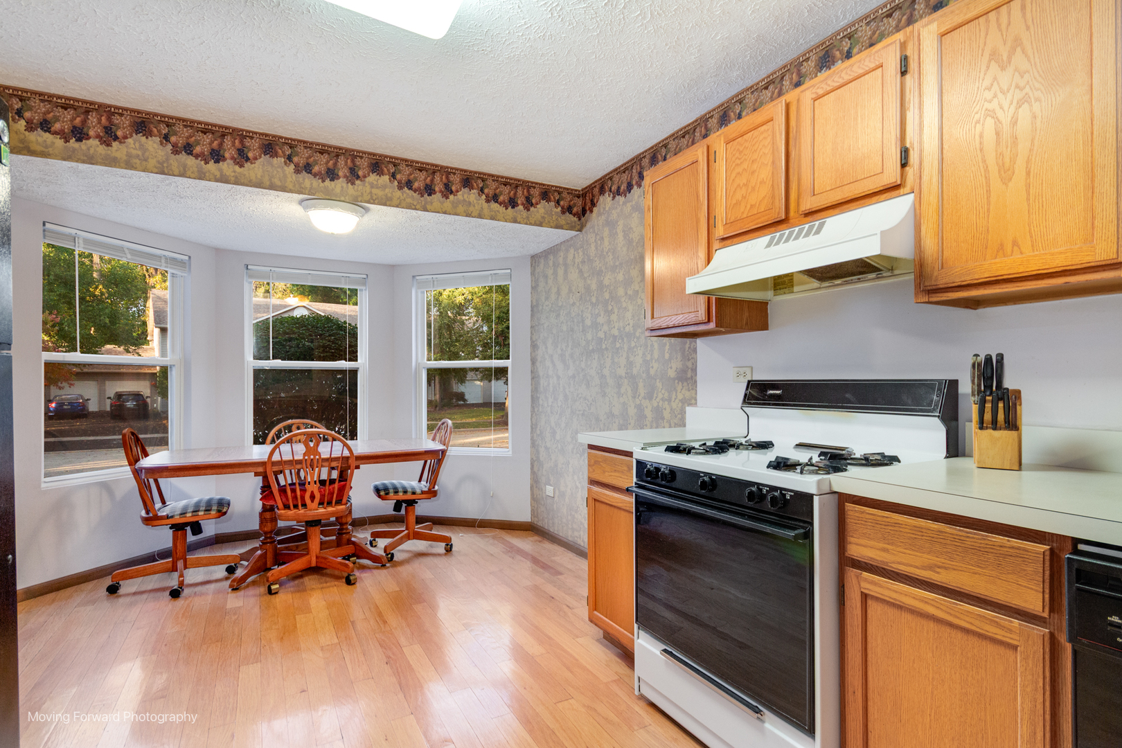 4208 Whitetail Court, Joliet, IL 60431