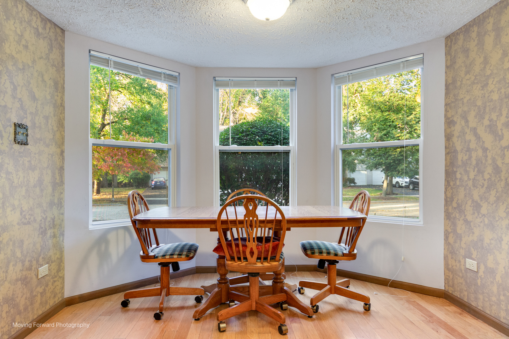 4208 Whitetail Court, Joliet, IL 60431