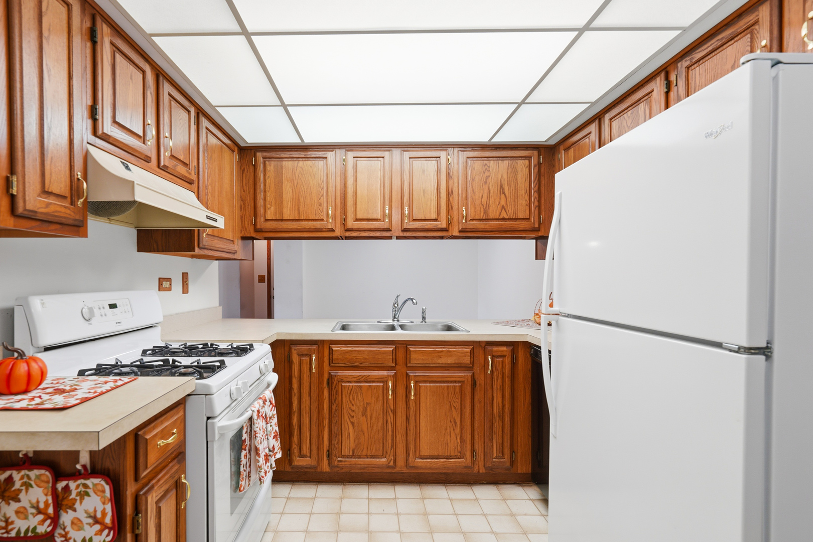 440 E Montrose Avenue #107, Wood Dale, IL 60191