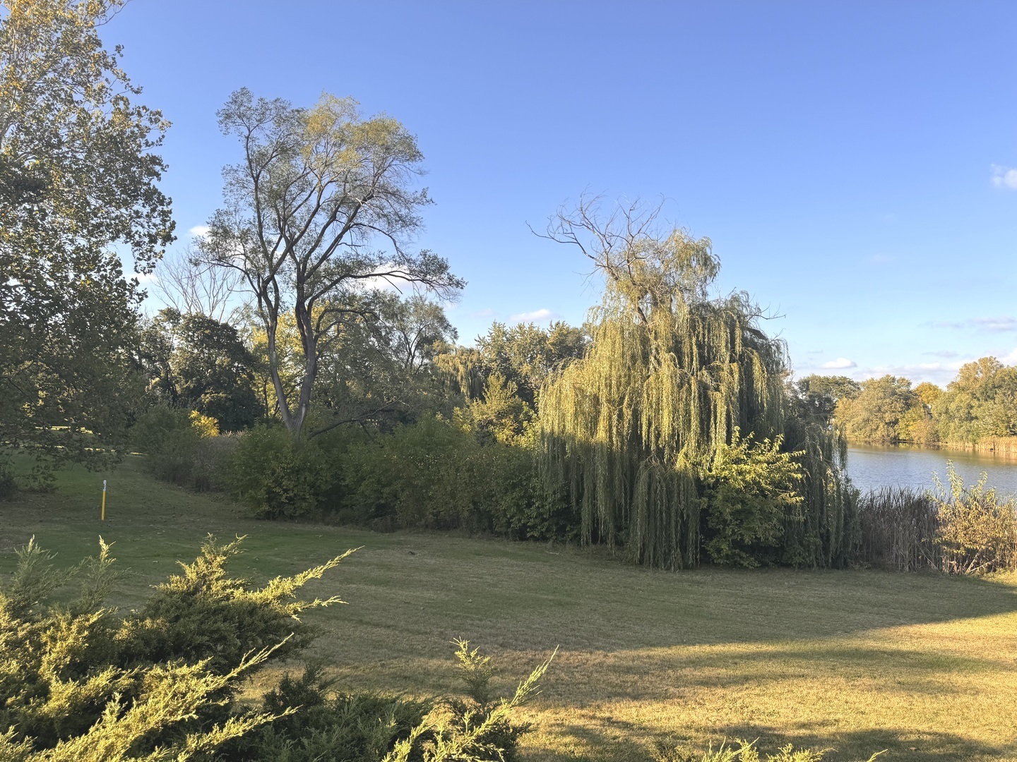 502 Redondo Drive #502, Downers Grove, IL 60516
