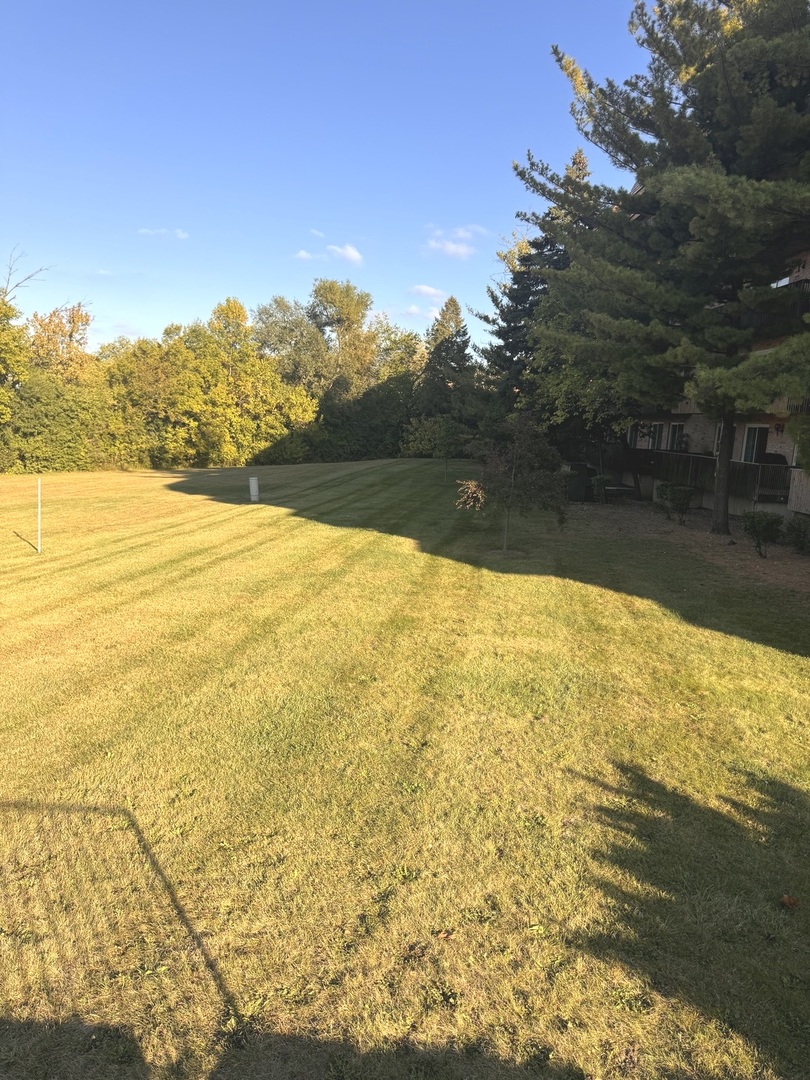 502 Redondo Drive #502, Downers Grove, IL 60516